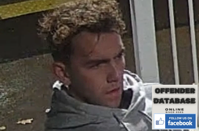 Ashtead sexual assault police appeal
