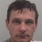 Aurel Birlan Chatham sex offender