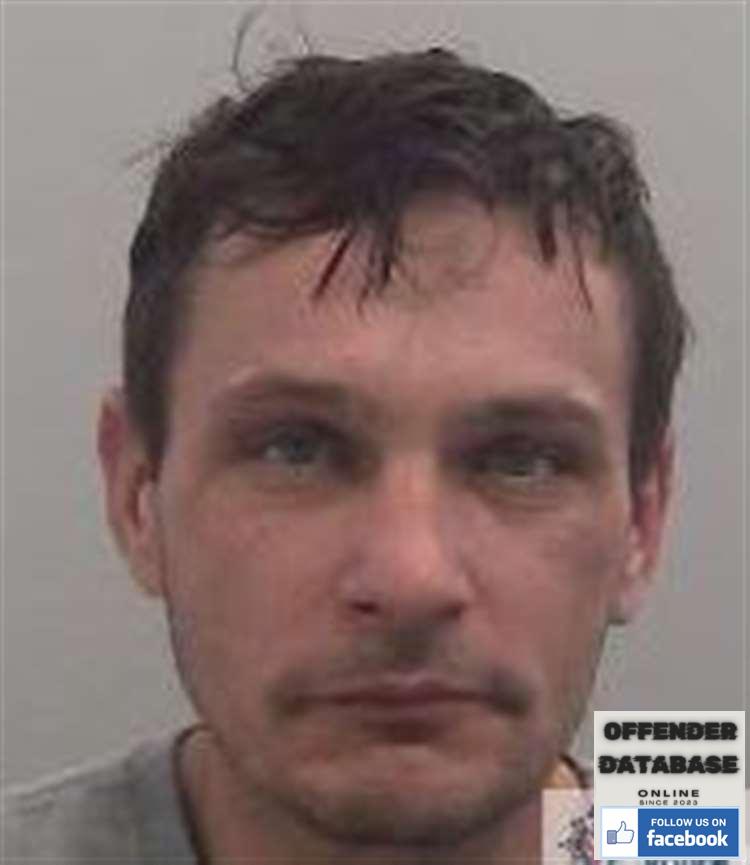 Aurel Birlan Chatham sex offender Aurel Birlan Chatham sex offender