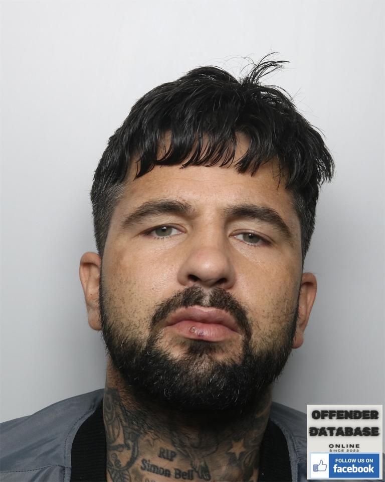 Cameron Hassan Ammanford Rapist