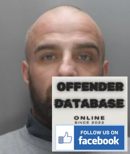 Michael Collins paedophile nonce