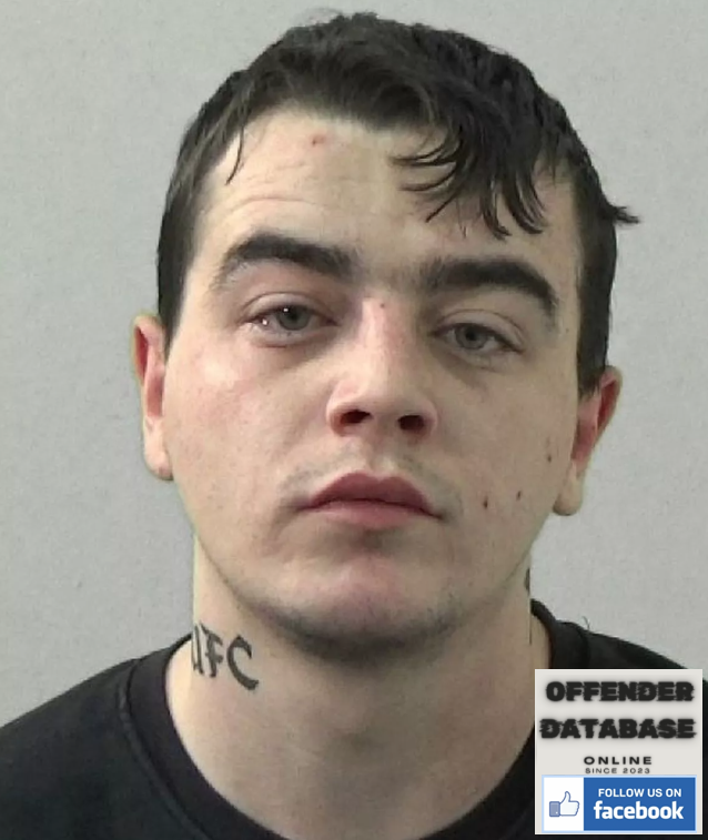 Michael Lang Wallsend domestic abuser