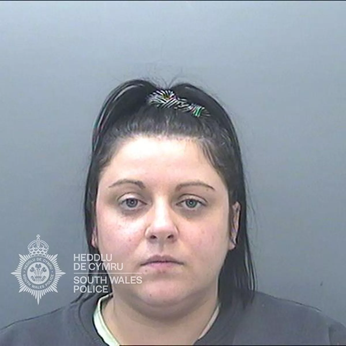 Natalie Arroyo Rhondda sex offender