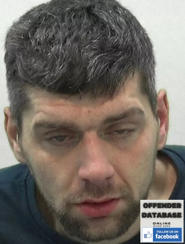 Robert Patterson Newcastle domestic abuser