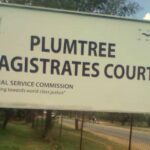 Selestine Madziwa Plumtree Rapist