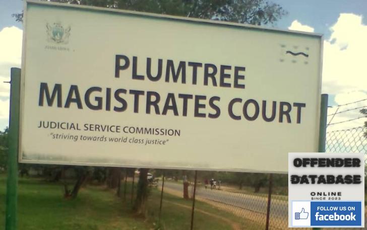 Selestine Madziwa Plumtree Rapist