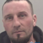 Teodor-Alin Pirvu Rochester Sex Offender