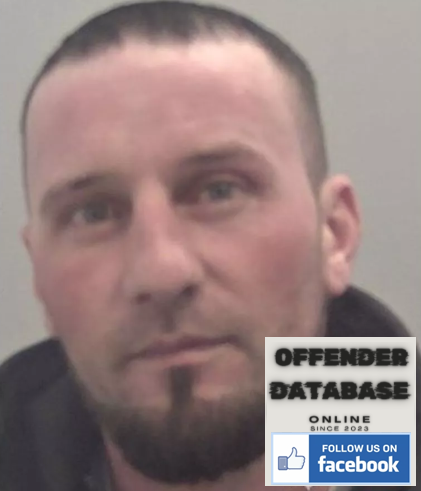 Teodor-Alin Pirvu Rochester Sex Offender