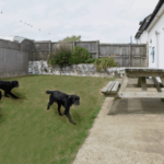 Jason Birch Haverfordwest Sex Offender