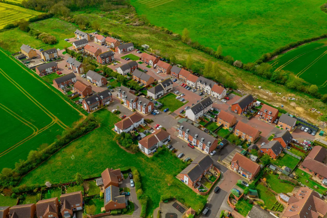 David Thorne Cherry Willingham Paedophile David Thorne Cherry Willingham Paedophile