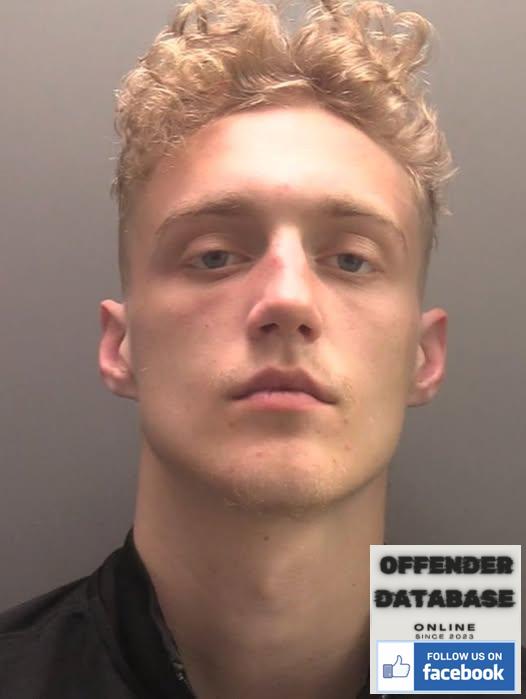 Eimantas Matasevicius Boston Paedophile