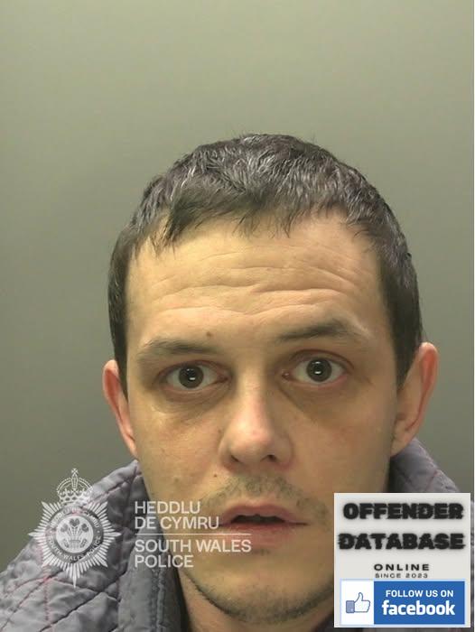 Guy Brigdale Fforestfach Paedophile