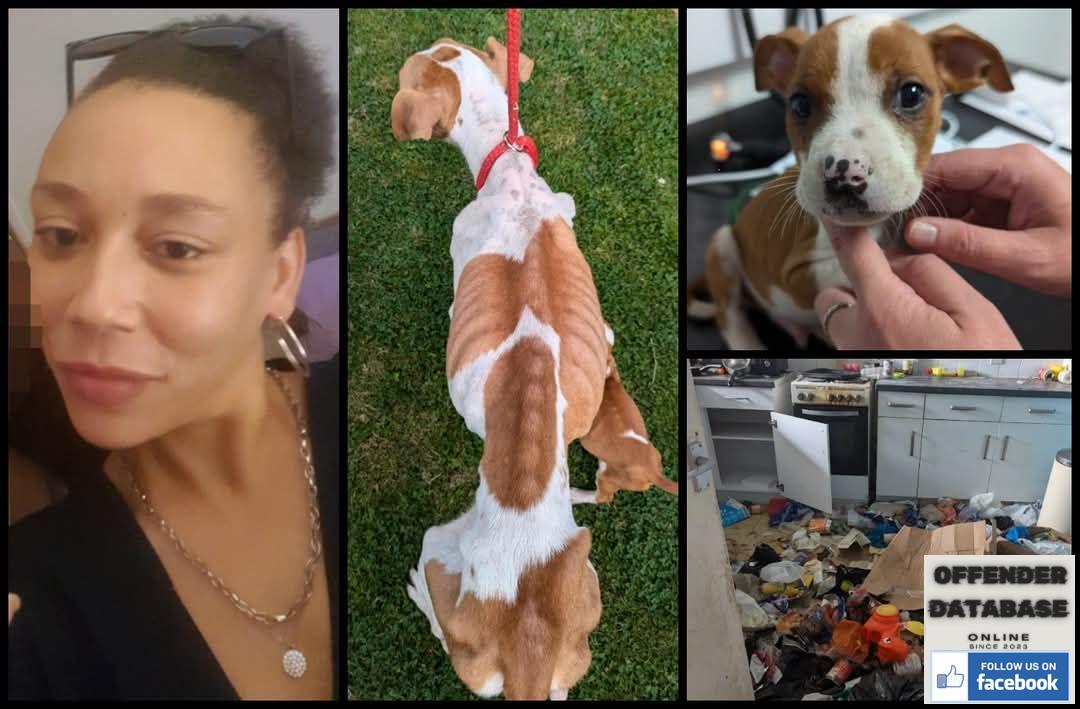 Whitney Leigh Williams Stechford Abuser