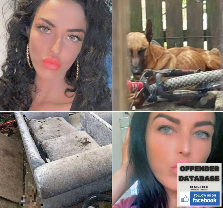 Hannah Williams nee Willington Pallister Animal Abuser