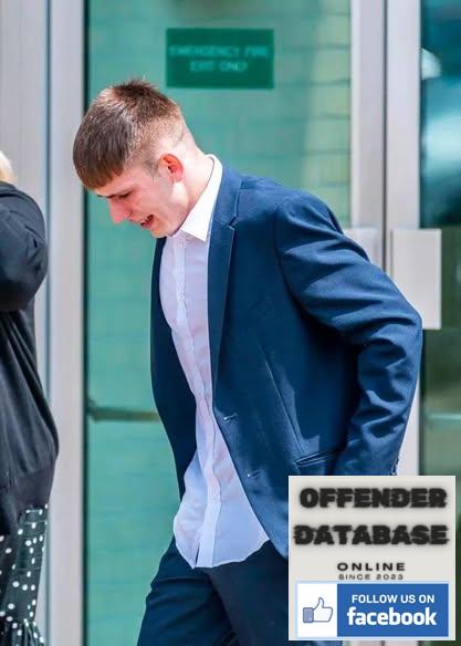 James Higginson Weymouth Animal and Domestic Abuser