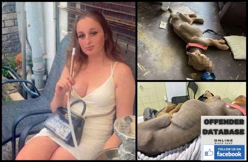 Rebecca Anderson Chatham Animal Abuser Nonce