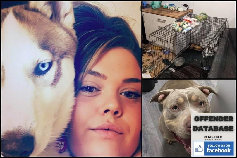 Sian Rees Exeter Animal Killer