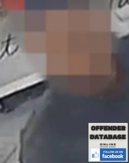 Afghan migrant Sweden rapist