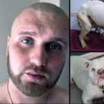 Joseph Heald Inkersall Sex Offender