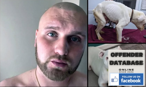 Joseph Heald Inkersall Sex Offender Joseph Heald Inkersall Sex Offender