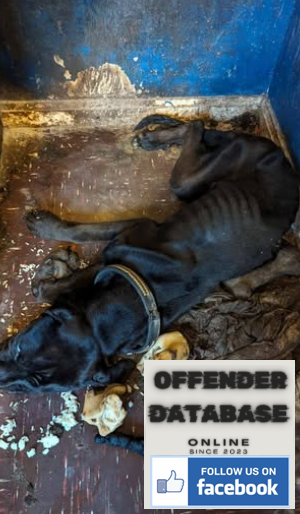 Karma the dog killed by Ryan Thomas Crook