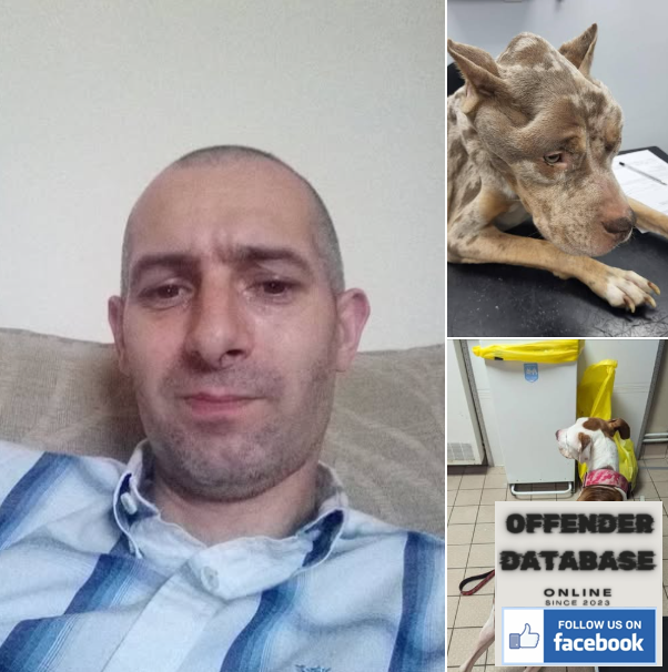 Phillip David Walsh Crewe Nonce