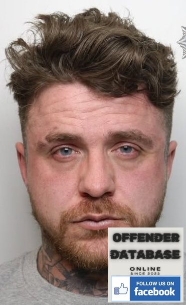 Shane Davis Stone Rapist