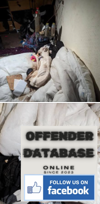 Tank the dog killed by James Warne