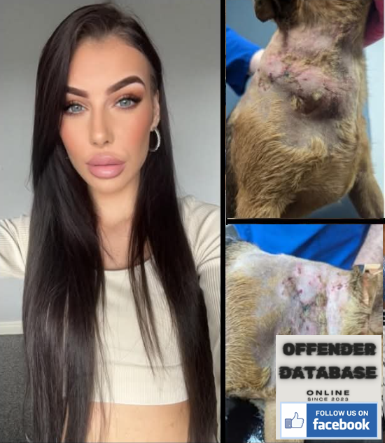 Chevaune Houston The Bradford Bride of Frankenstein Animal Abuser