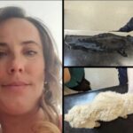 Claire Dziubek Ilkeston Animal and Child Abuser