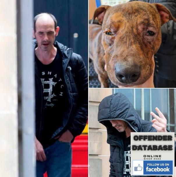 Daniel Murphy Prestwick Sex Offender Animal Abuser