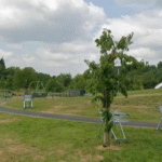 Edris Abdelrazig Stockport Paedophile