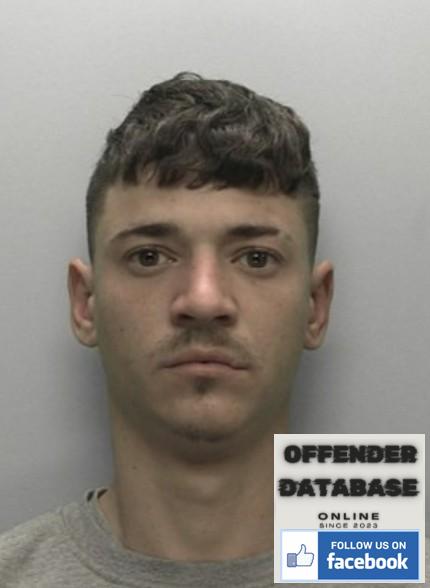 Eugen Simion Camborne Rapist