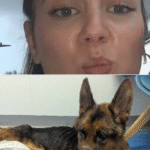 Florentina Radu Reading Animal Abuser