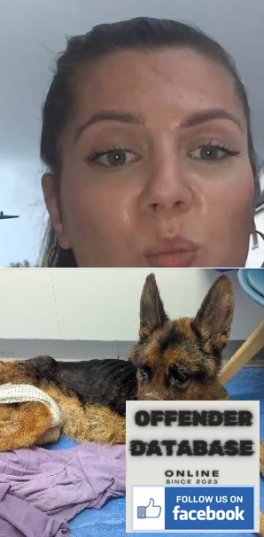 Florentina Radu Reading Animal Abuser