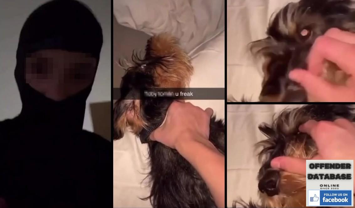 Robertsbridge Community College Hastings Animal Abuser