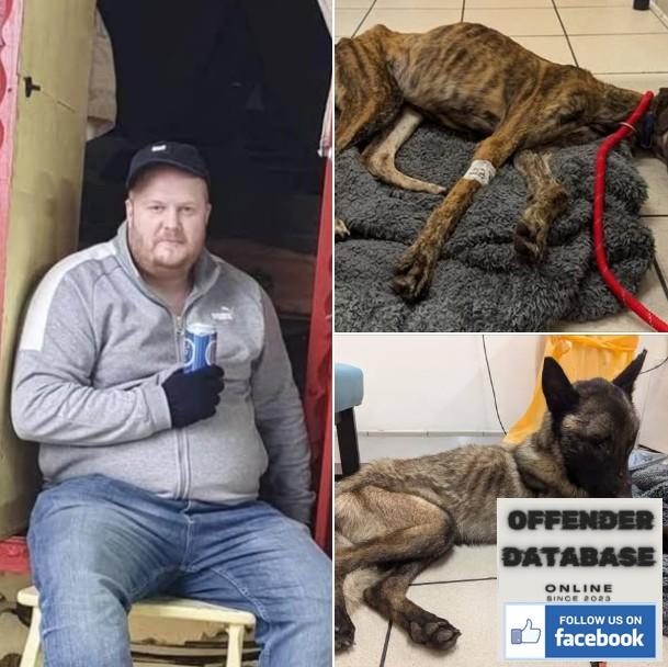 Ryan Michael Scandrett Animal Abuser Nonce Ryan Michael Scandrett Animal Abuser Nonce