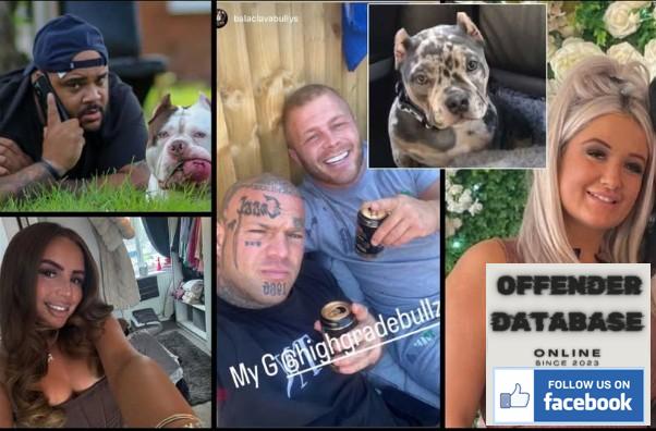 Stoke Dog Breeding Gang Animal Abusers