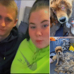 Aaron Francis and Charlie Sabrina Nakita Smith Mayhill Animal Abusers