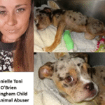 Danielle Toni O'Brien Nottingham Child and Animal Abuser