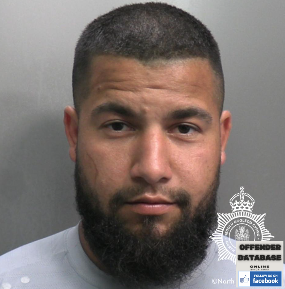 Dumitru-Robert Lacatus Garden City Rapist