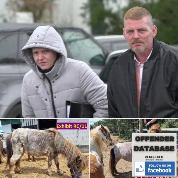 James Baker, Sarah Baker and Darren Laker Par Animal Abusers