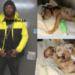 Jerome Lothian Carlton Child and Animal Abuser