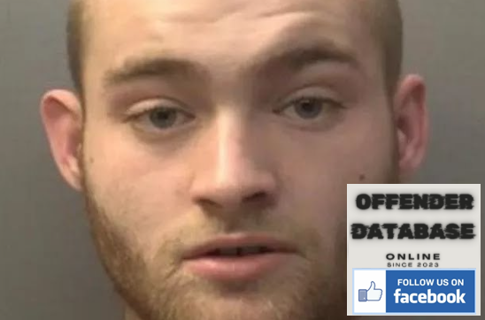 Keaton Davies Shard End Paedophile