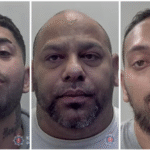 Kevin Horvath and Ivan Turtak and Ernest Gunar