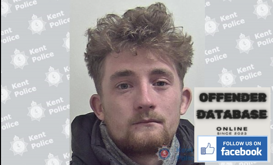 Mitchell Hickey Tunbridge Wells Horse-riding Instructor