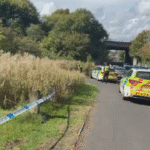 Oldbury Sexual Assault Appeal