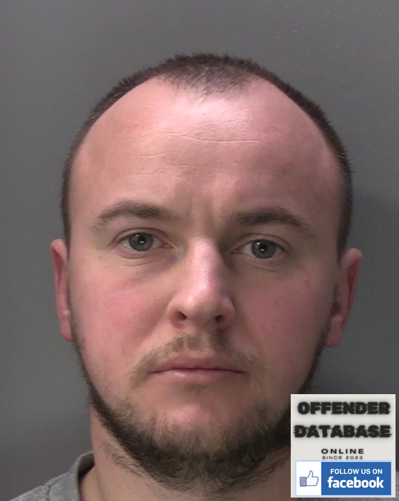 Andrii Melnyk Chiswick Sex Offender