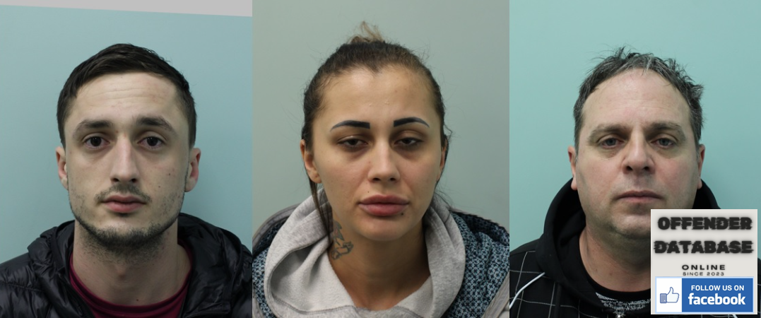 Claudia Anca Chingford Sex Offender