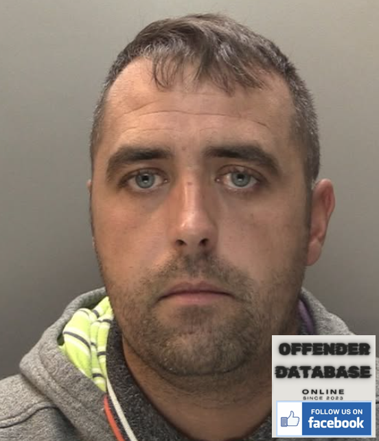 David Joseph McMullan Downpatrick Paedophile